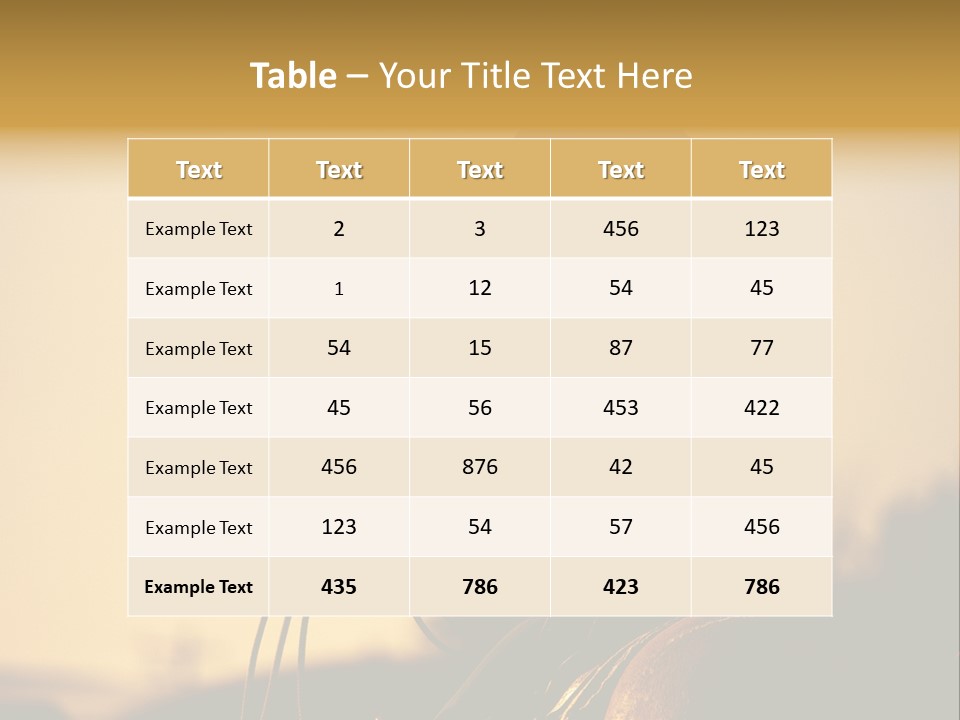 West Cowboy Western PowerPoint Template