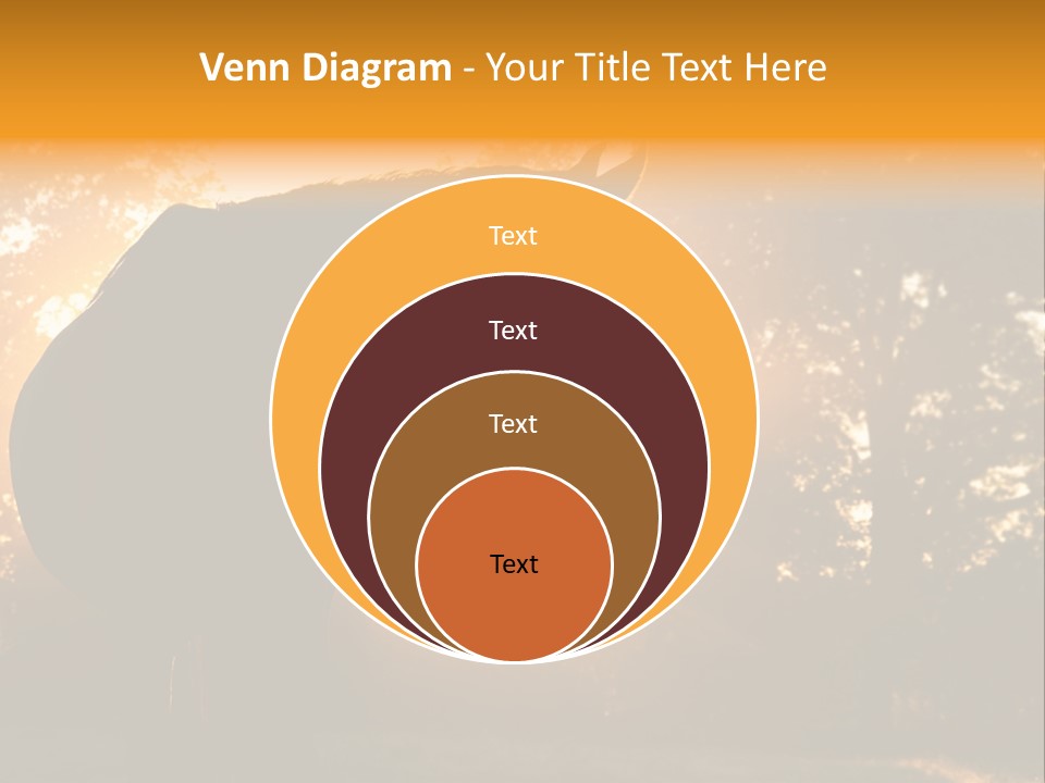 Bright Nose Ray PowerPoint Template