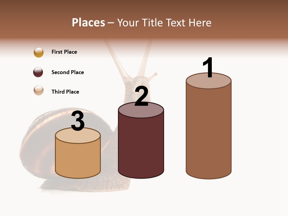 Cute Looking Snail PowerPoint Template