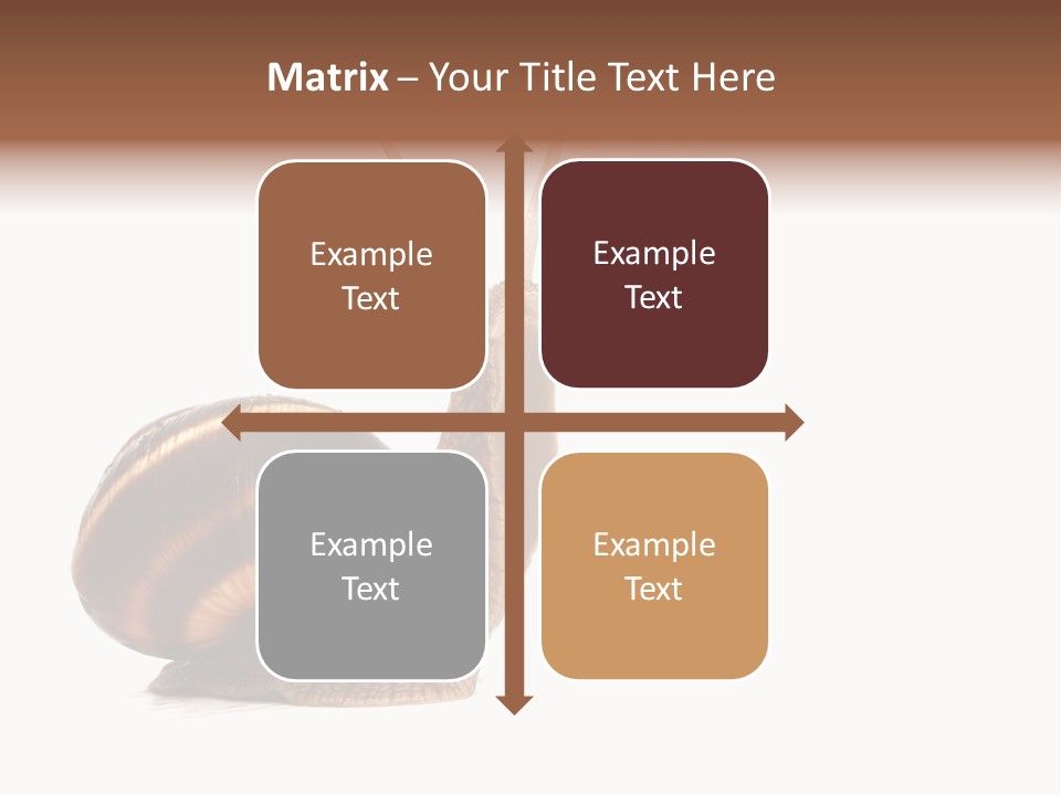 Cute Looking Snail PowerPoint Template