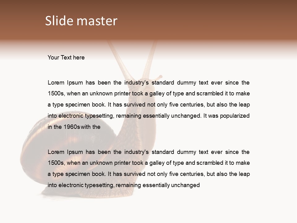 Cute Looking Snail PowerPoint Template