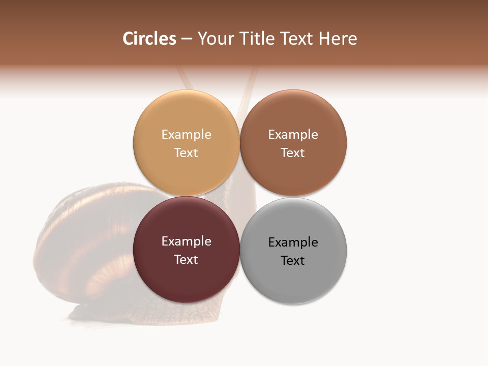 Cute Looking Snail PowerPoint Template