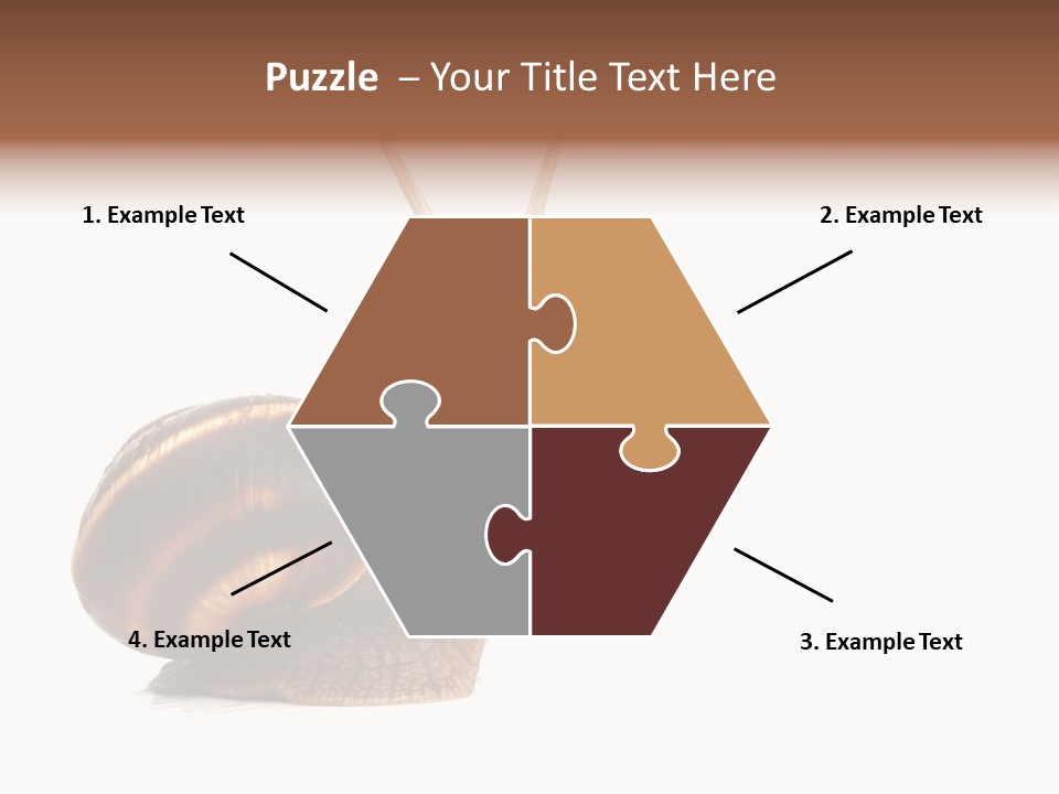 Cute Looking Snail PowerPoint Template