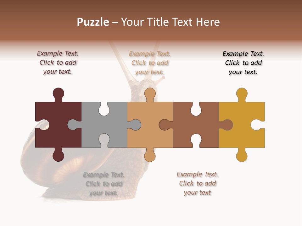 Cute Looking Snail PowerPoint Template