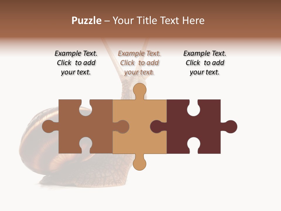 Cute Looking Snail PowerPoint Template