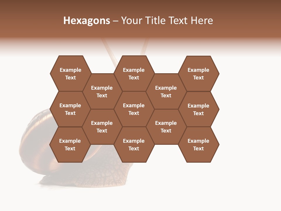 Cute Looking Snail PowerPoint Template