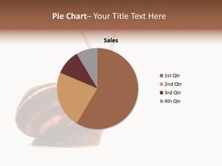 Cute Looking Snail PowerPoint Template