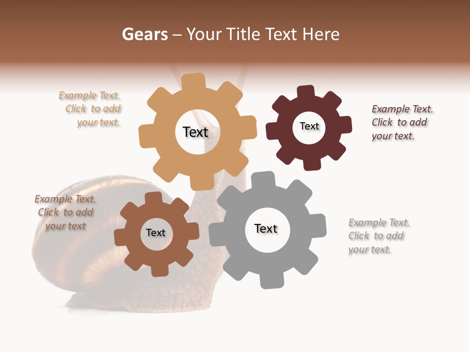 Cute Looking Snail PowerPoint Template