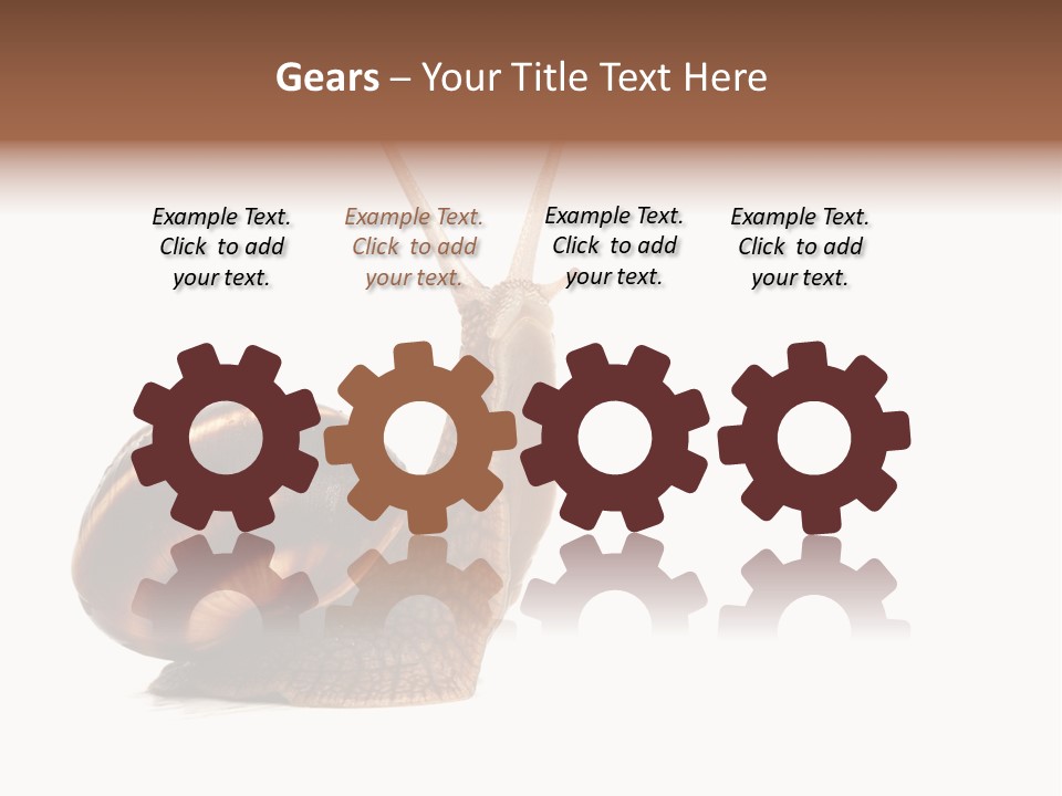 Cute Looking Snail PowerPoint Template