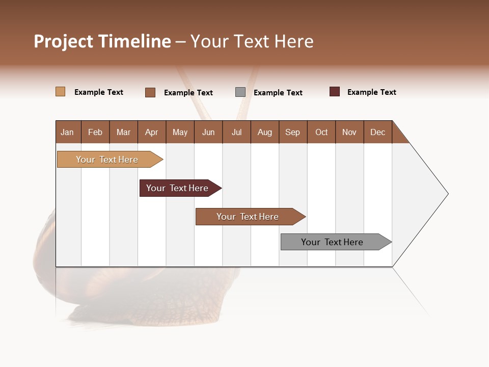 Cute Looking Snail PowerPoint Template