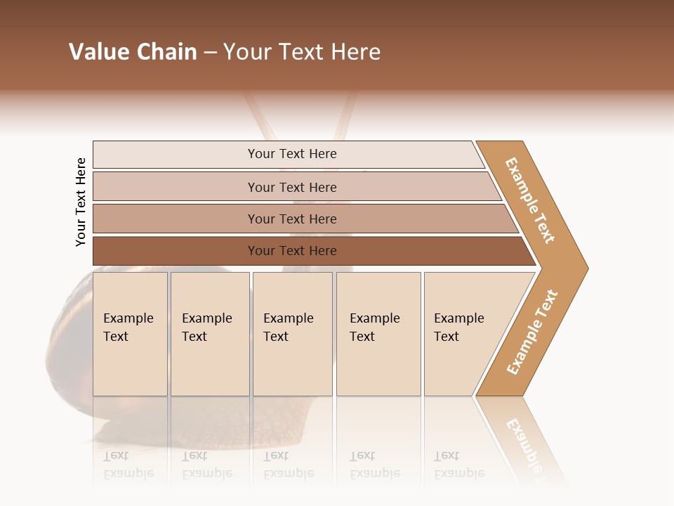 Cute Looking Snail PowerPoint Template