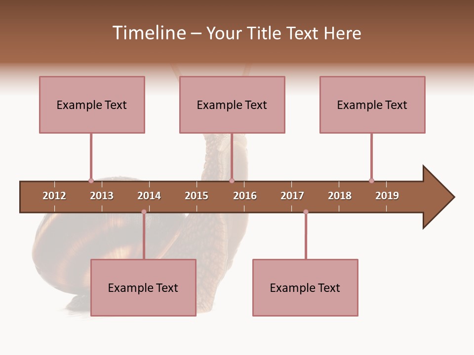 Cute Looking Snail PowerPoint Template