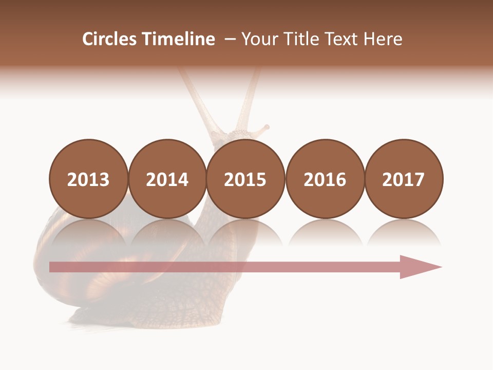 Cute Looking Snail PowerPoint Template