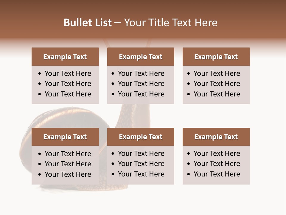 Cute Looking Snail PowerPoint Template