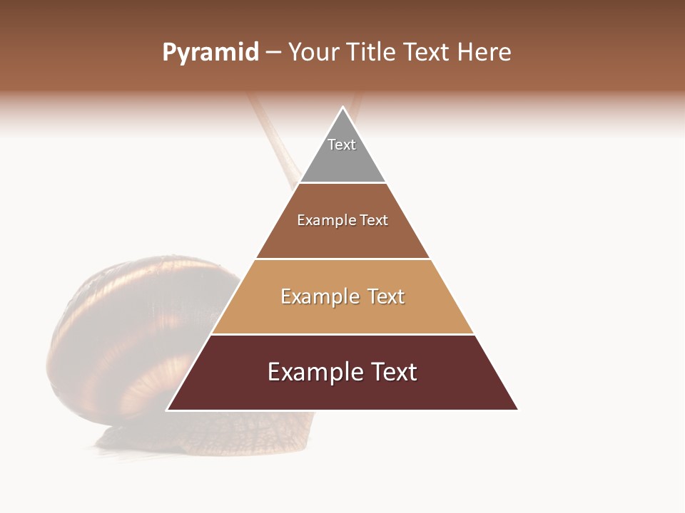 Cute Looking Snail PowerPoint Template