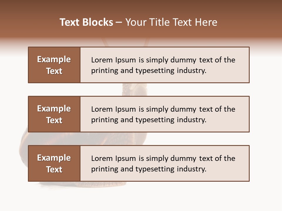 Cute Looking Snail PowerPoint Template