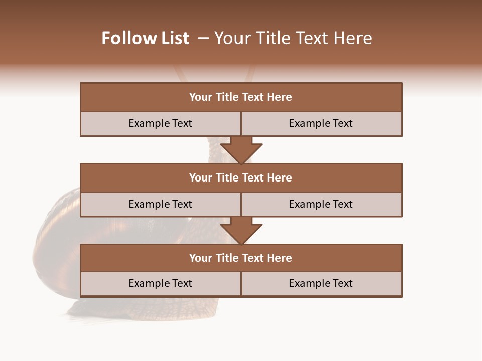 Cute Looking Snail PowerPoint Template