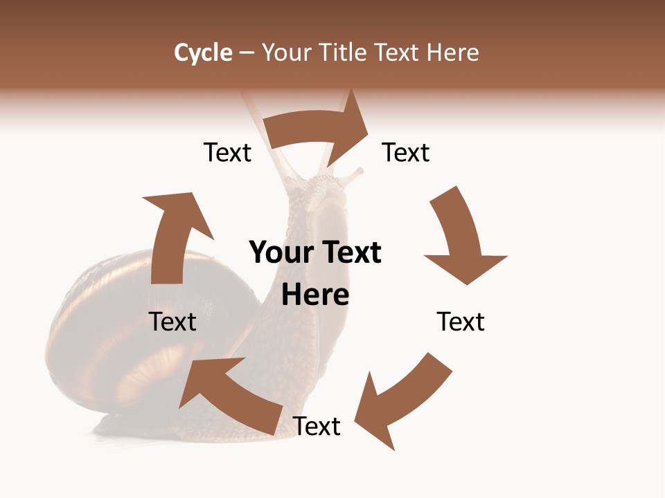 Cute Looking Snail PowerPoint Template