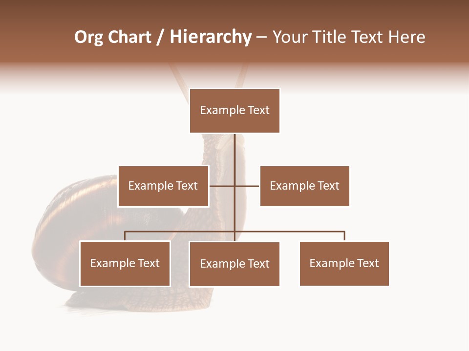 Cute Looking Snail PowerPoint Template