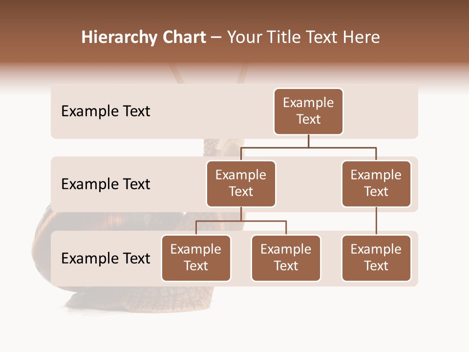 Cute Looking Snail PowerPoint Template