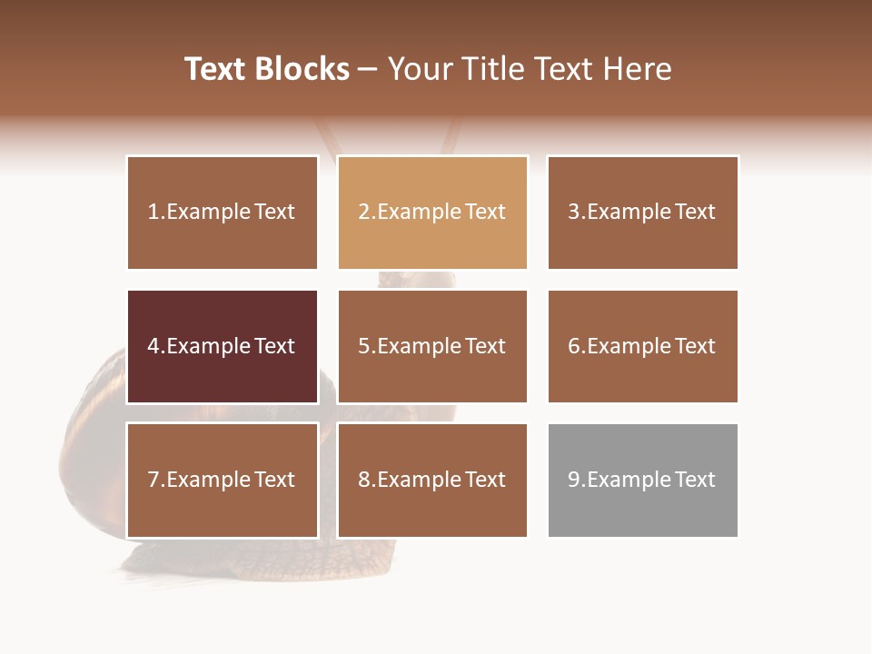 Cute Looking Snail PowerPoint Template