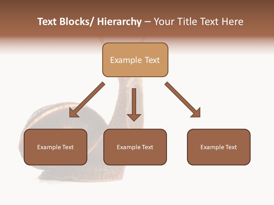 Cute Looking Snail PowerPoint Template