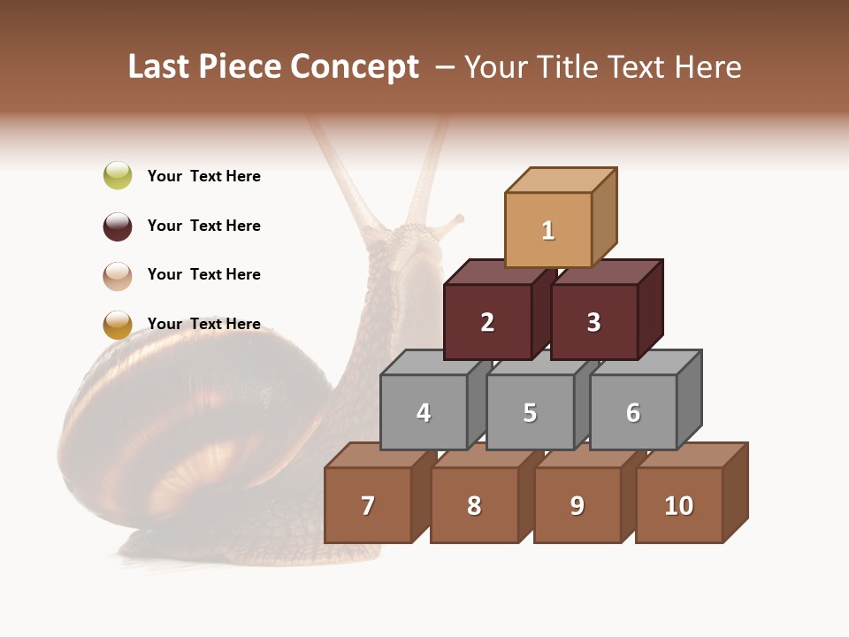 Cute Looking Snail PowerPoint Template