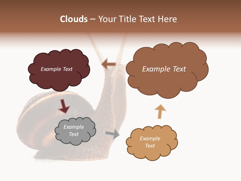 Cute Looking Snail PowerPoint Template