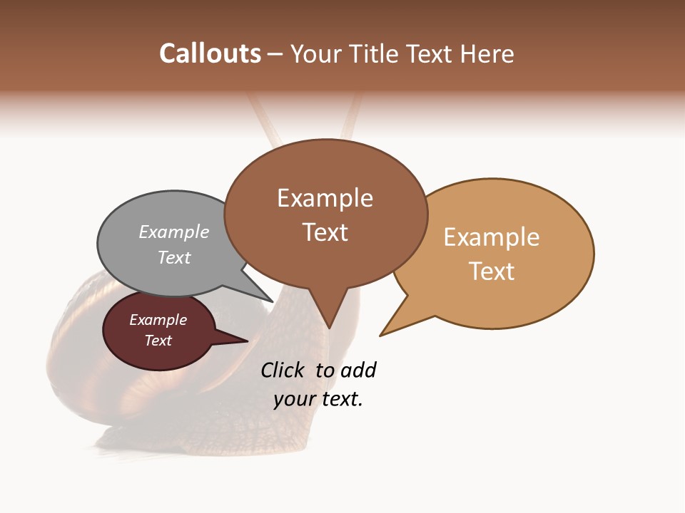 Cute Looking Snail PowerPoint Template