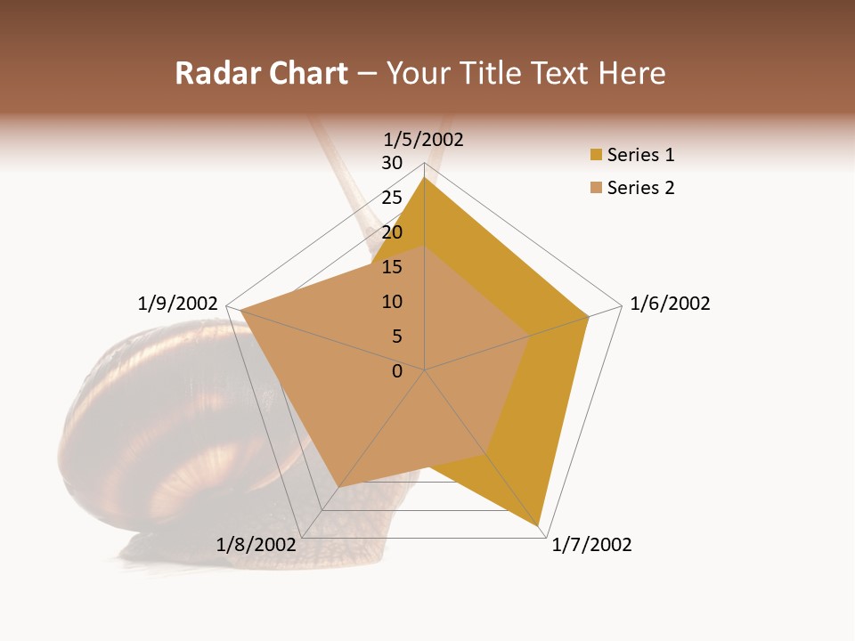 Cute Looking Snail PowerPoint Template