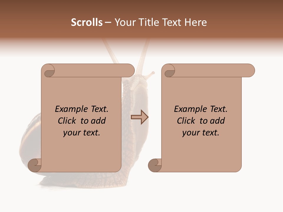 Cute Looking Snail PowerPoint Template