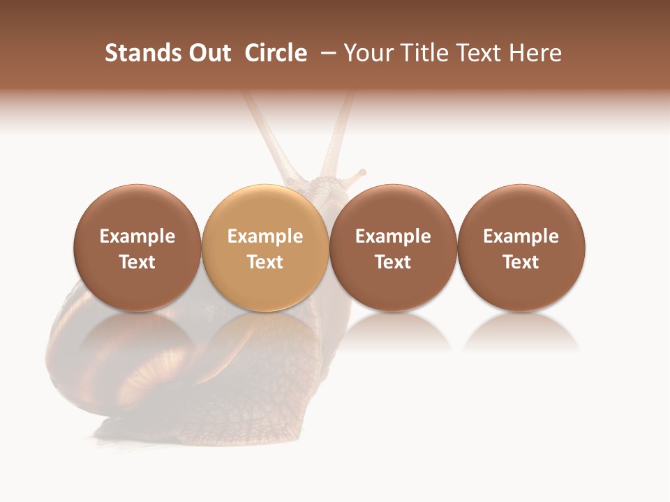 Cute Looking Snail PowerPoint Template