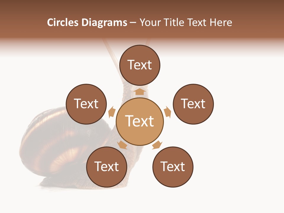 Cute Looking Snail PowerPoint Template