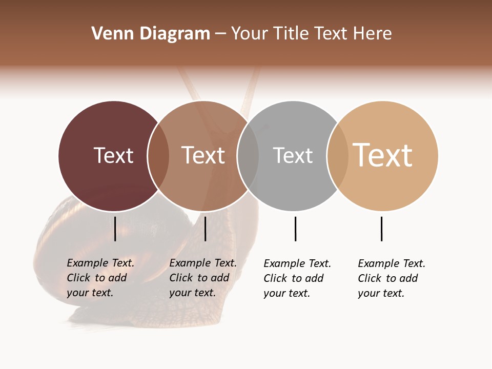 Cute Looking Snail PowerPoint Template