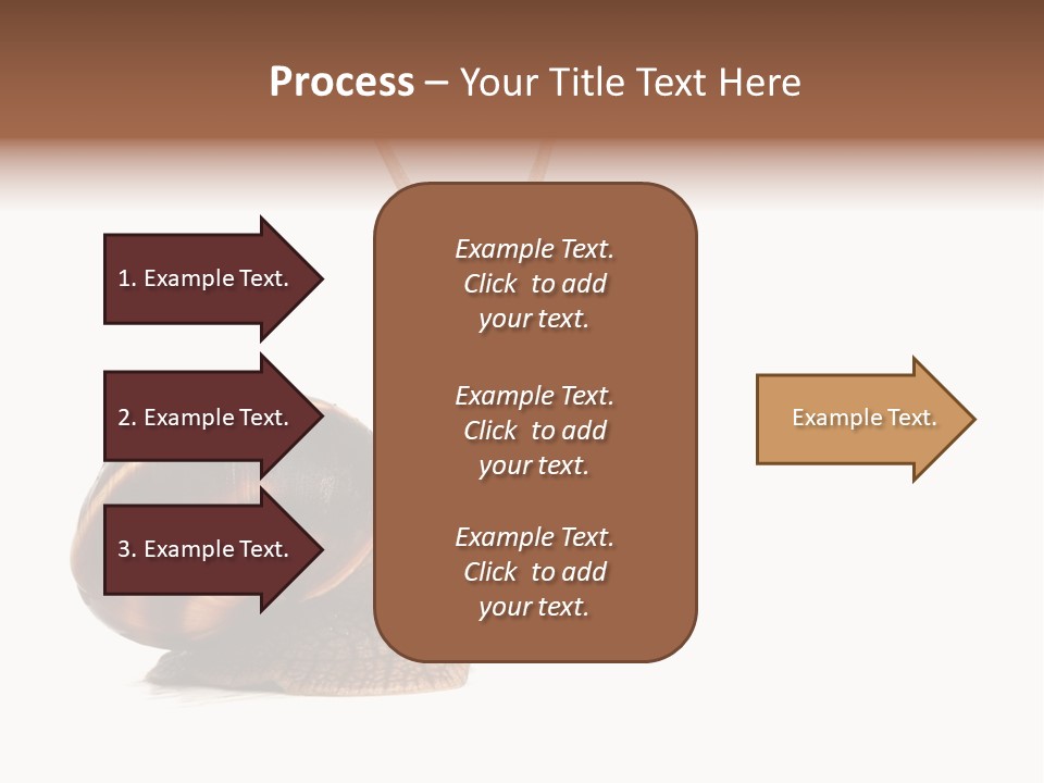 Cute Looking Snail PowerPoint Template