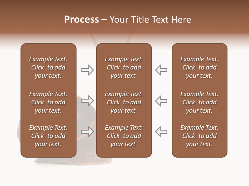 Cute Looking Snail PowerPoint Template