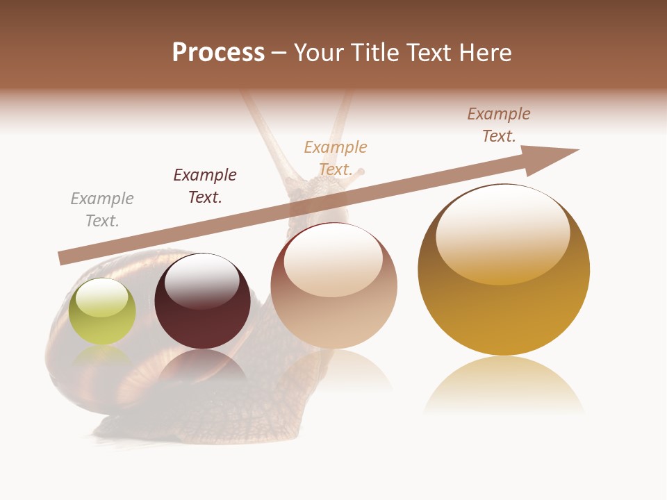 Cute Looking Snail PowerPoint Template