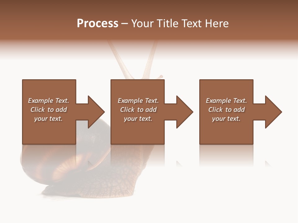 Cute Looking Snail PowerPoint Template