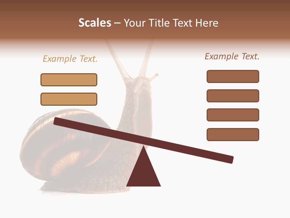 Cute Looking Snail PowerPoint Template