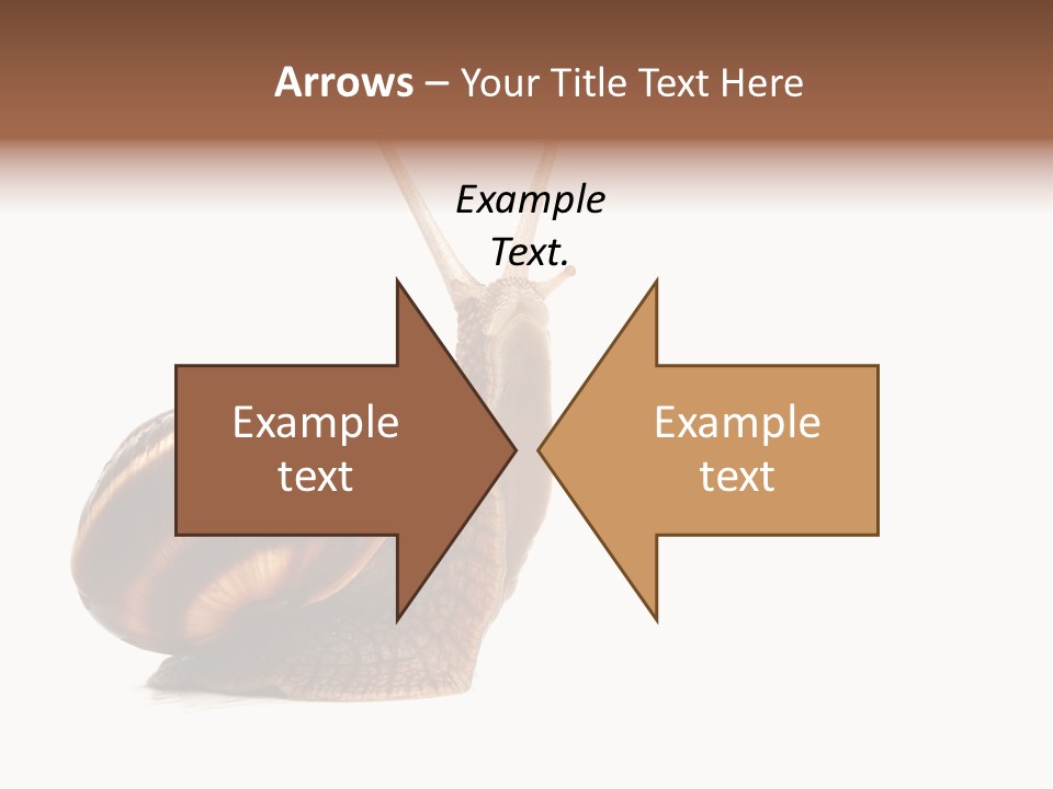 Cute Looking Snail PowerPoint Template