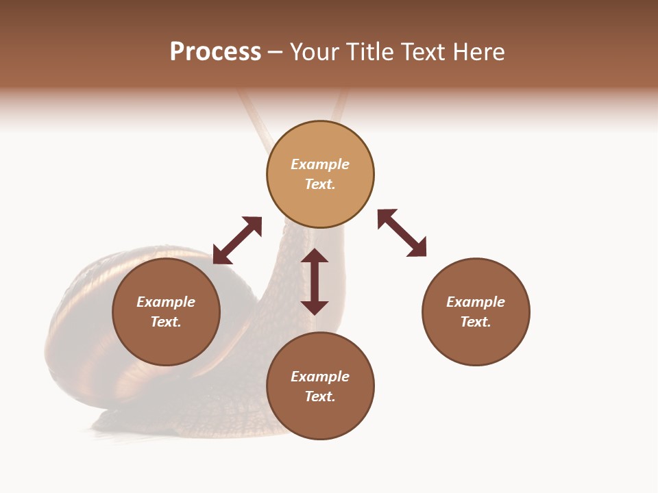 Cute Looking Snail PowerPoint Template