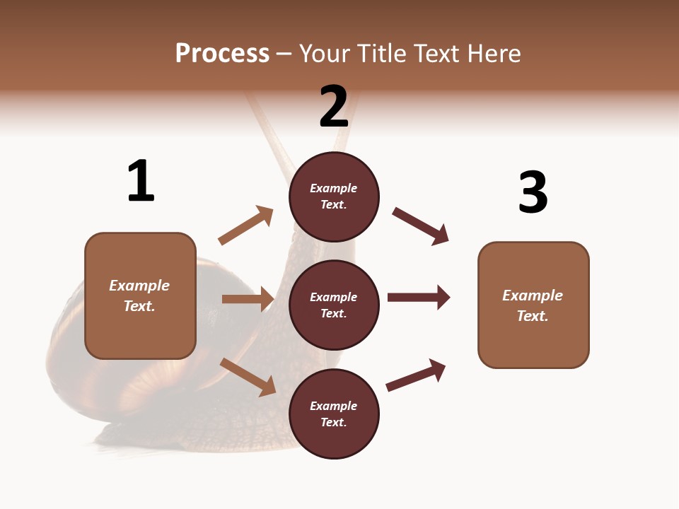 Cute Looking Snail PowerPoint Template