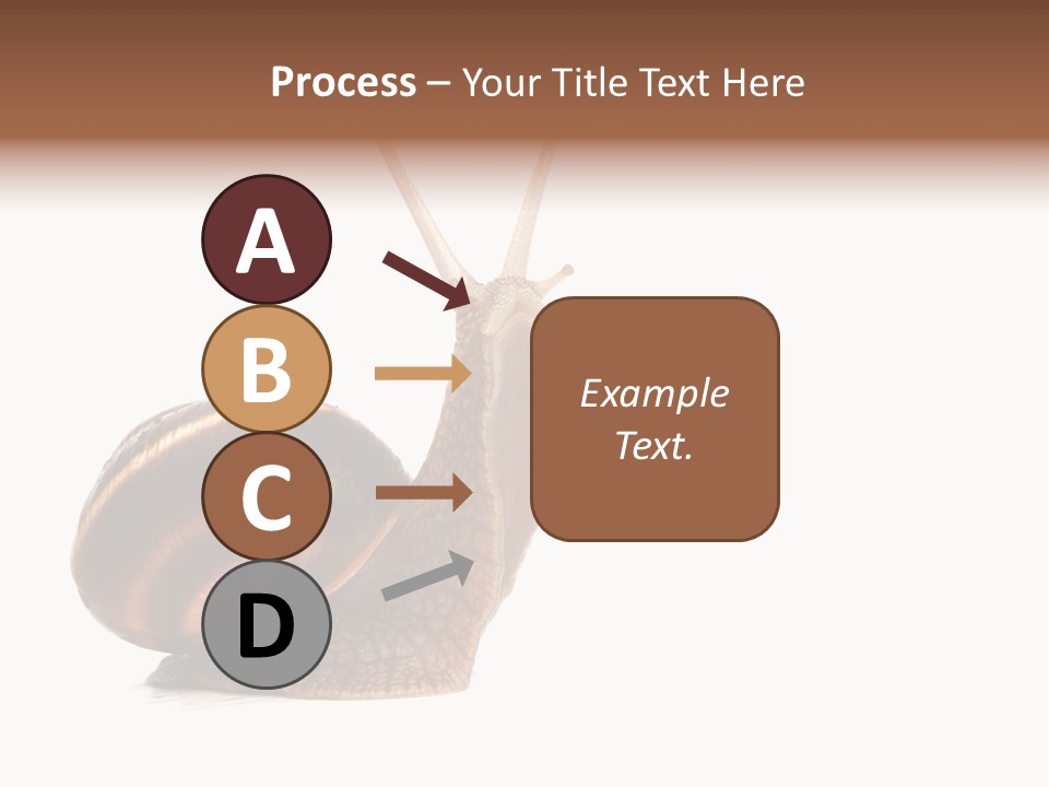 Cute Looking Snail PowerPoint Template