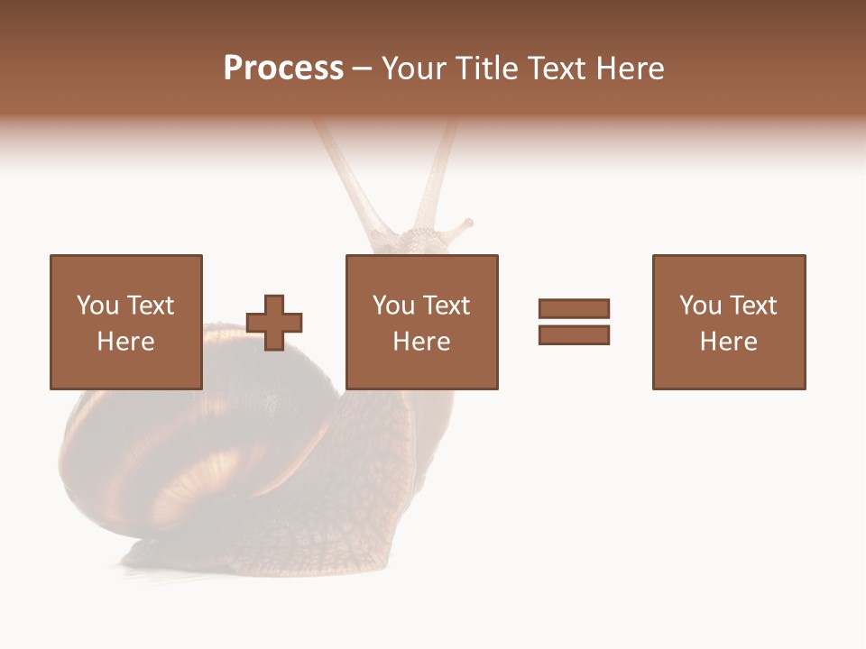 Cute Looking Snail PowerPoint Template