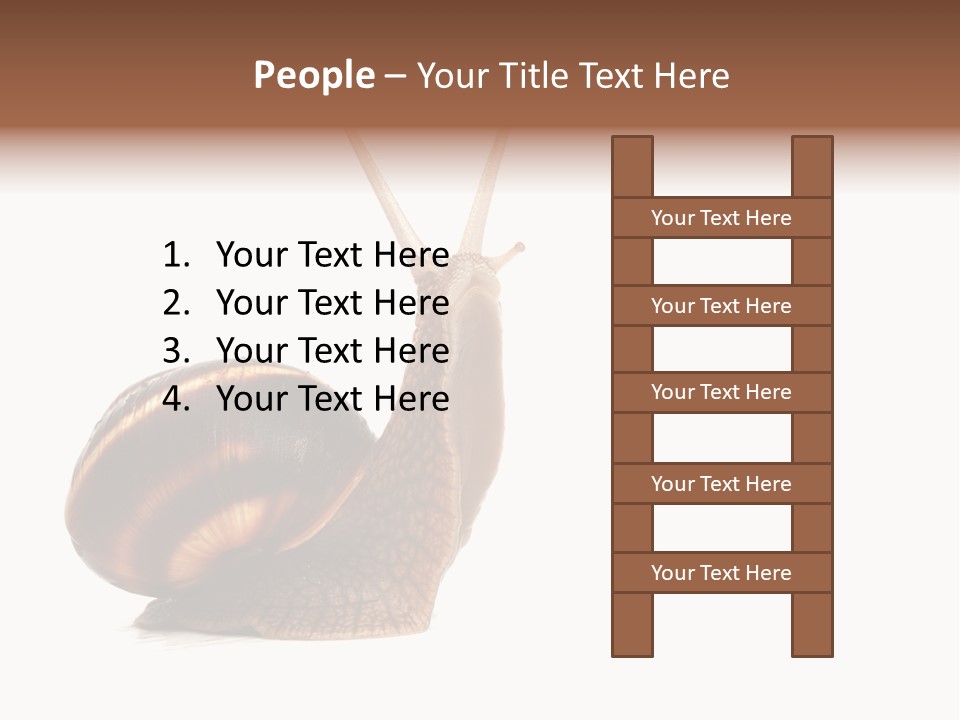 Cute Looking Snail PowerPoint Template