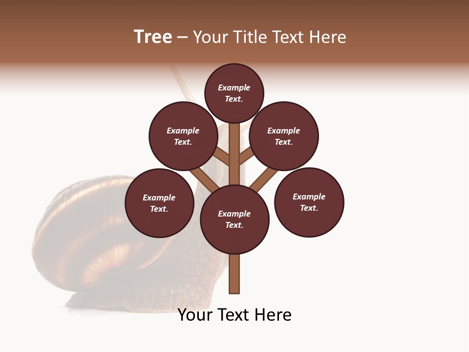 Cute Looking Snail PowerPoint Template