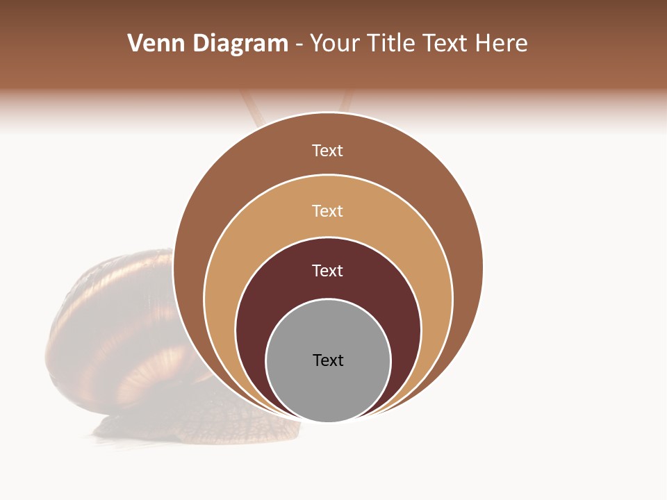 Cute Looking Snail PowerPoint Template
