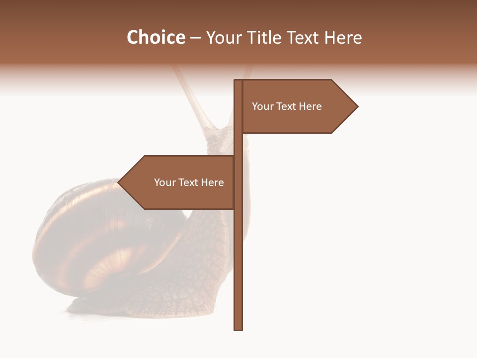 Cute Looking Snail PowerPoint Template