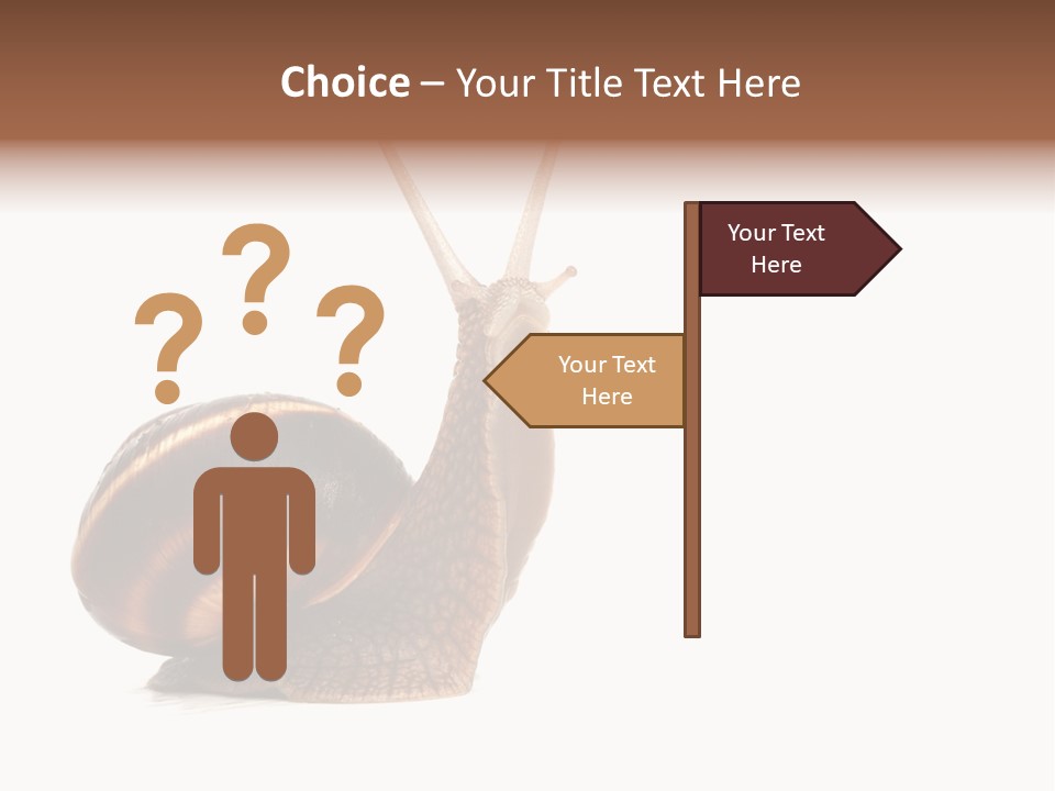 Cute Looking Snail PowerPoint Template