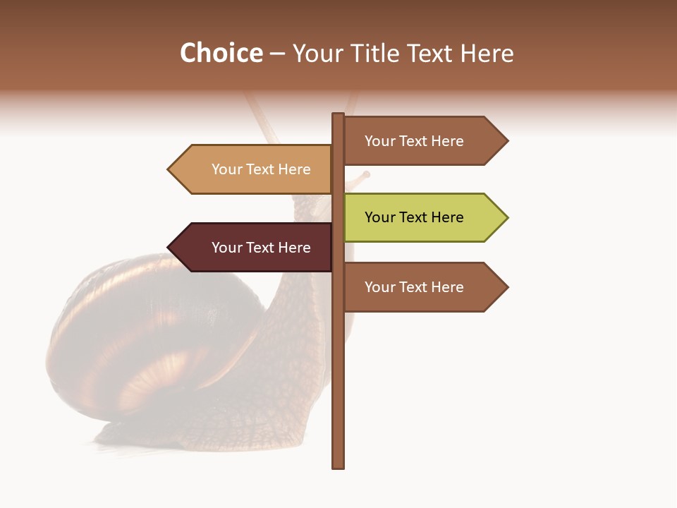 Cute Looking Snail PowerPoint Template